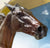 Standardbred Trotting Horse ~ Atlanta