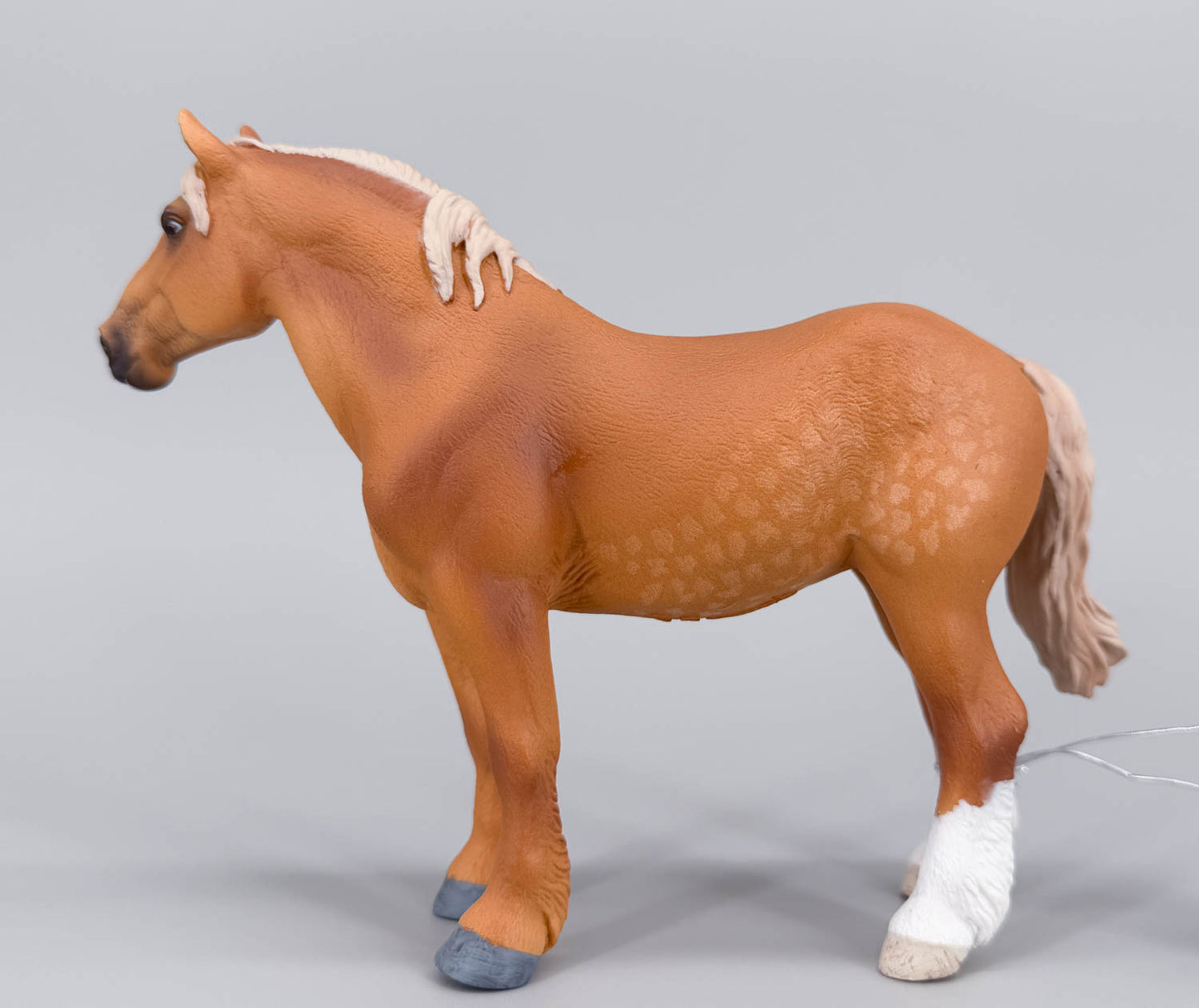 Belgian Warmblood Mare, Dappled Chestnut (international release)