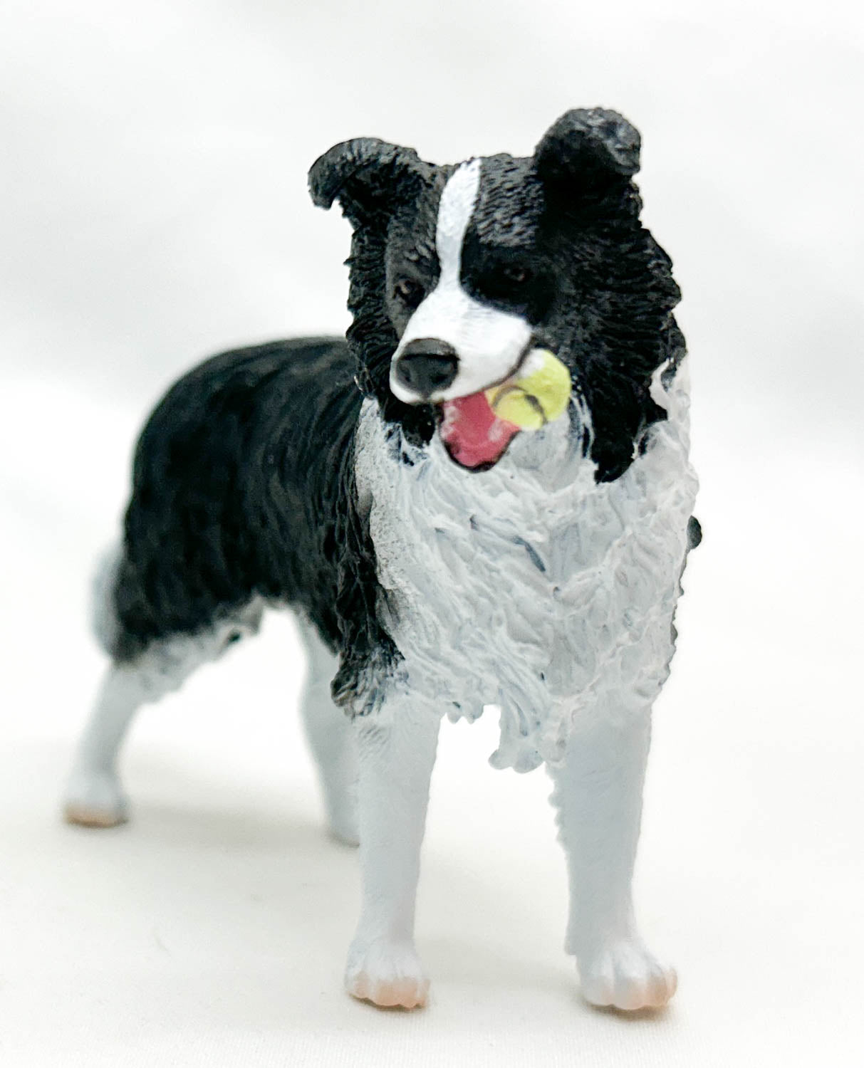 Border Collie w/ Tennis Ball (International Release)