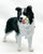 Border Collie w/ Tennis Ball (International Release)