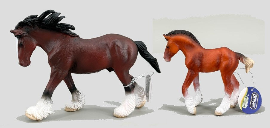 Clydesdale Stallion, Bay