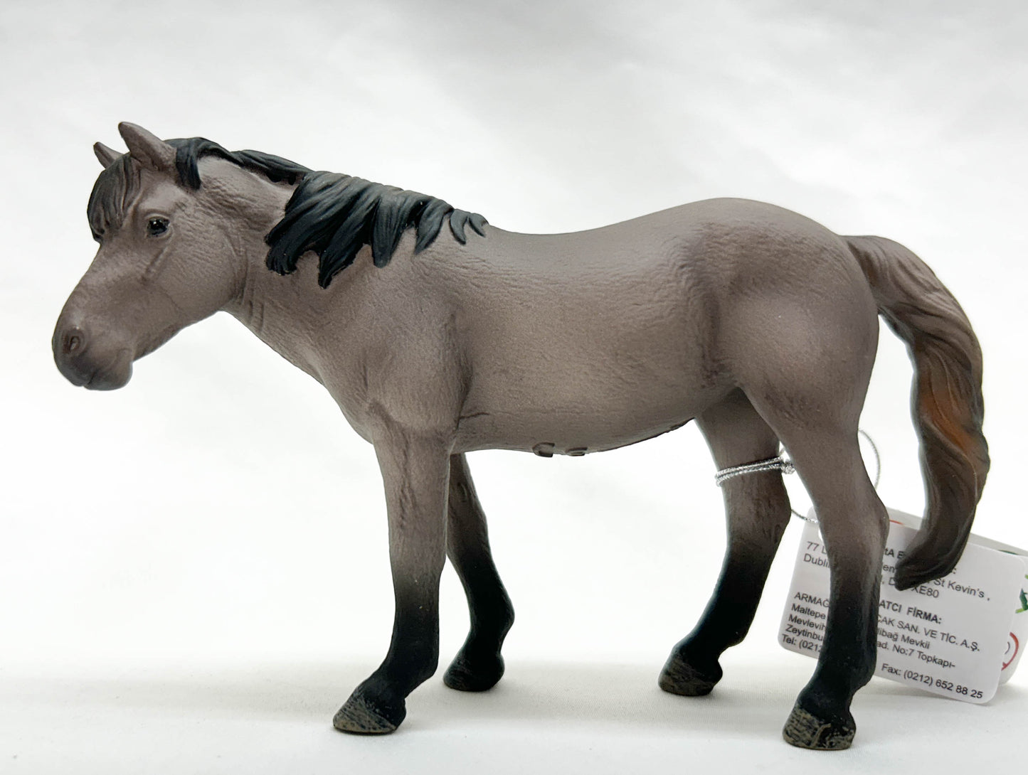 Konik Mare, Grulla (International Release)