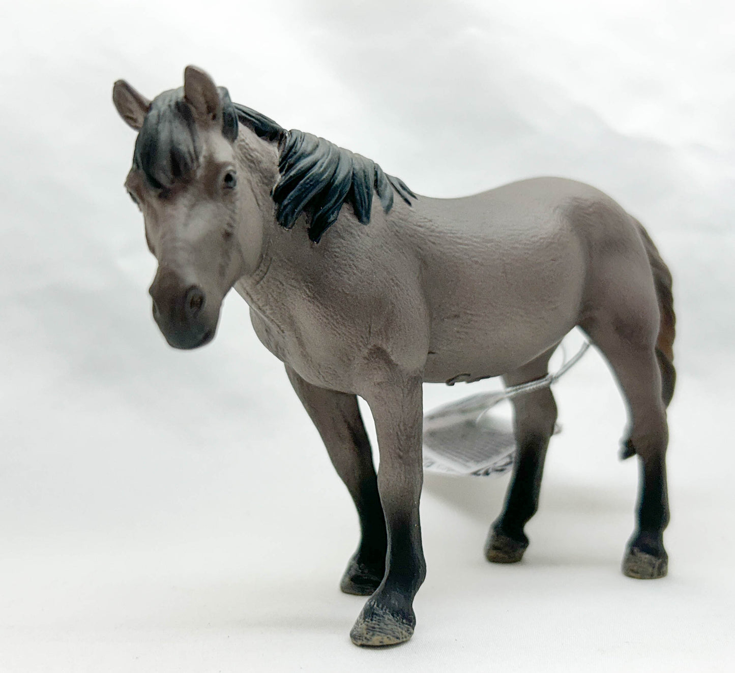 Konik Mare, Grulla (International Release)