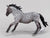 Nokota Stallion, Blue Roan (international release)