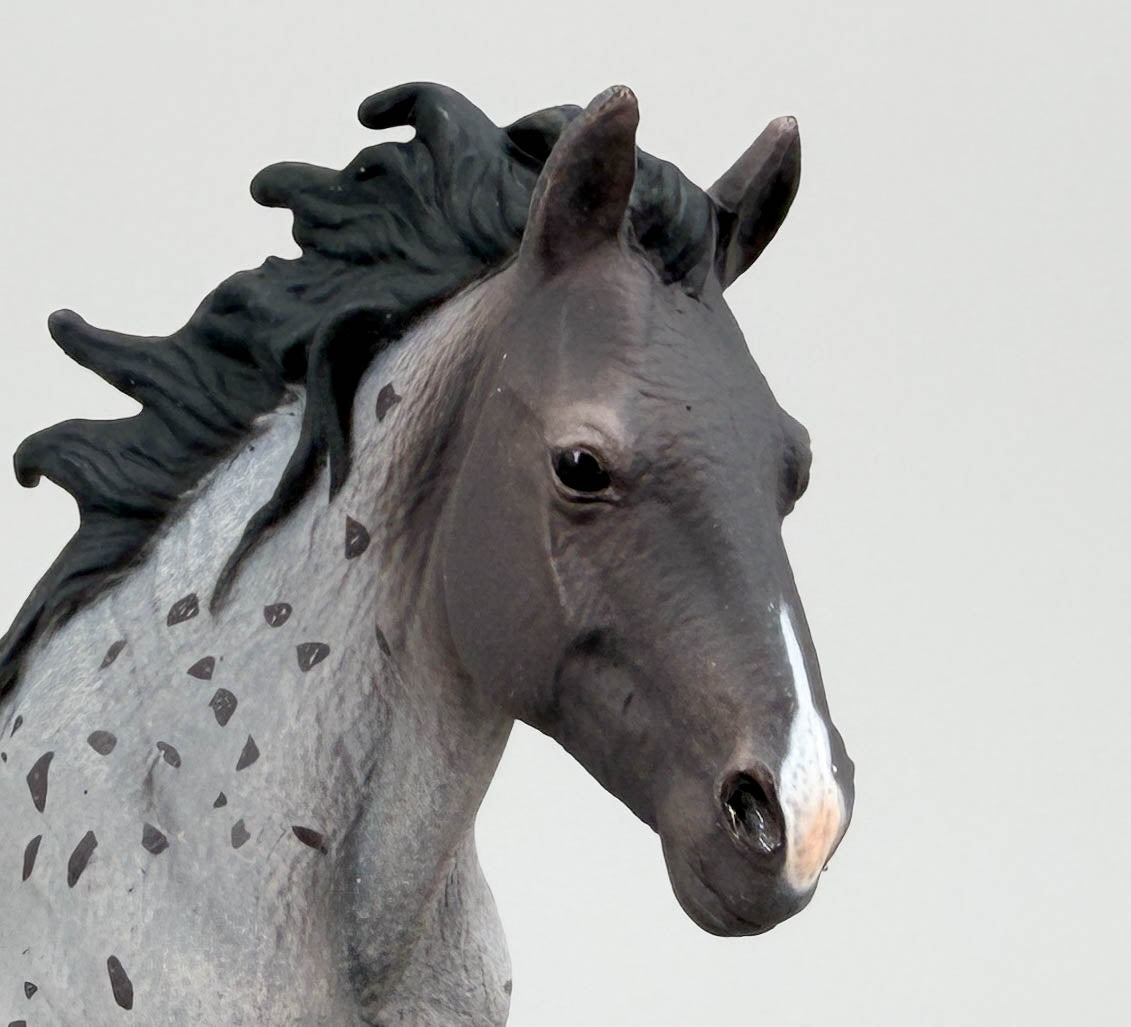 Nokota Stallion, Blue Roan (international release)