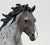 Nokota Stallion, Blue Roan (international release)