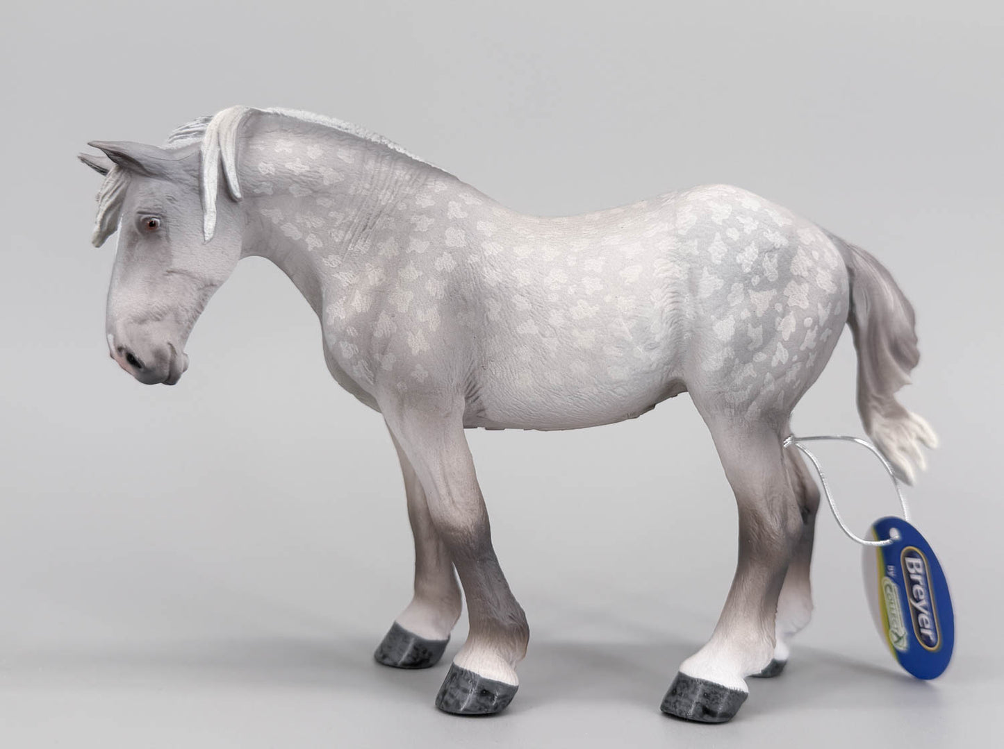 Percheron Mare, Dapple Grey