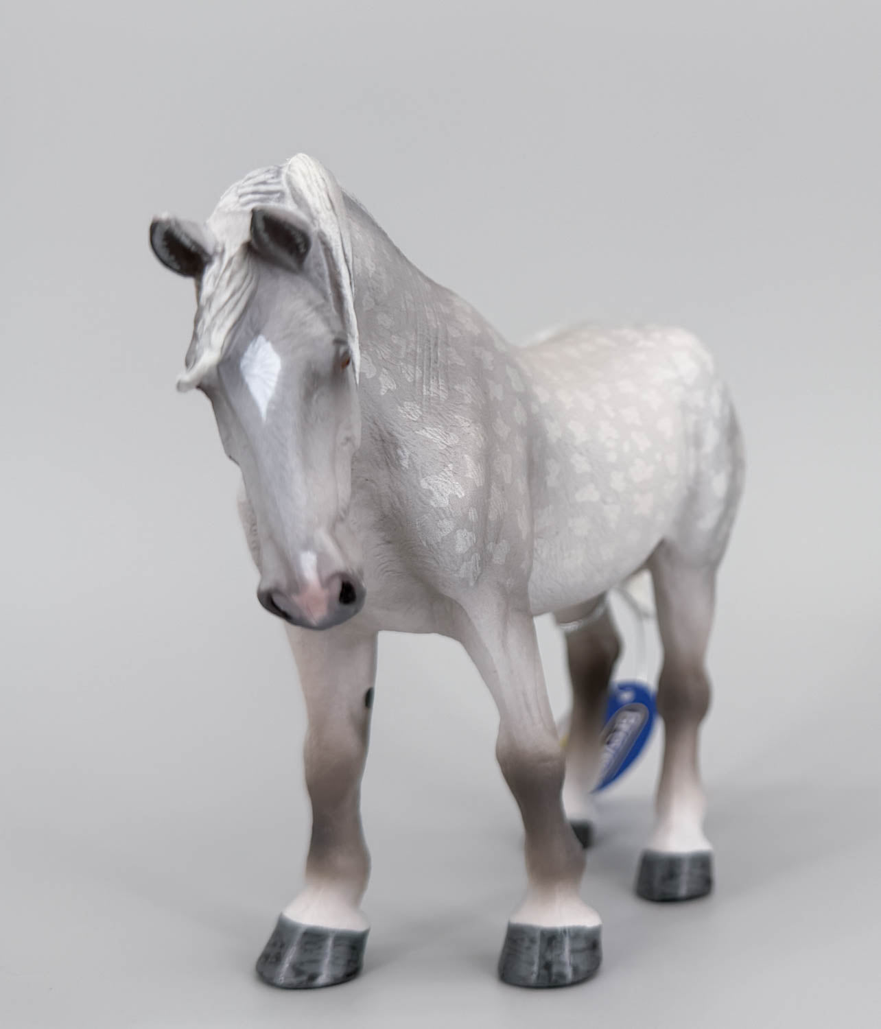 Percheron Mare, Dapple Grey