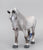 Percheron Mare, Dapple Grey