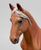 Peruvian Paso Mare, Chestnut (International Release)