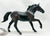 Nonius Stallion, Black (International Release)