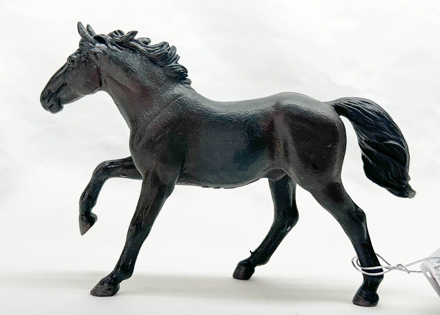 Nonius Stallion, Black (International Release)