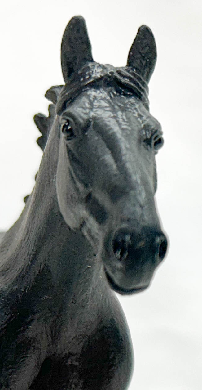 Nonius Stallion, Black (International Release)