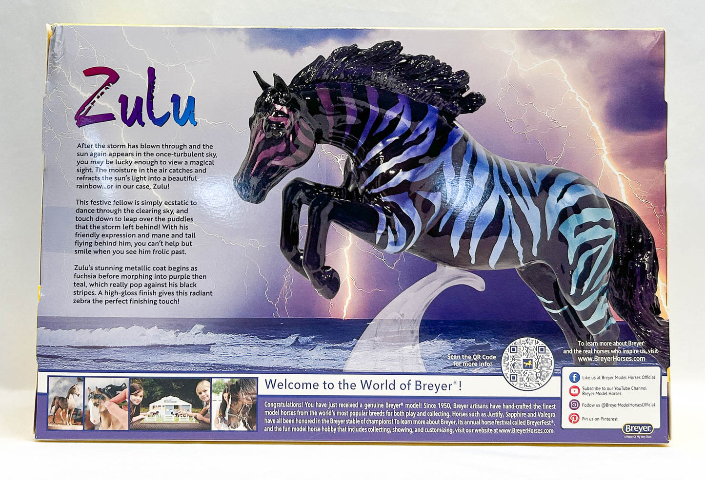 Newsworthy ~ Zulu - 2024 Fall Decorator Ltd Ed