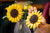 LEGO® Botanicals: Sunflower Bouquet #11502 686 Pieces