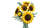 LEGO® Botanicals: Sunflower Bouquet #11502 686 Pieces