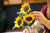 LEGO® Botanicals: Sunflower Bouquet #11502 686 Pieces