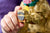 LEGO® Icons ~ Golden Retriever Puppy #11384 2102 Pieces