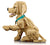 LEGO® Icons ~ Golden Retriever Puppy #11384 2102 Pieces