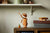 LEGO® Ideas ~ E.T. the Extra-Terrestrial #21370 1226 Pieces