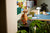 LEGO® Ideas ~ E.T. the Extra-Terrestrial #21370 1226 Pieces