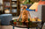 LEGO® Ideas ~ E.T. the Extra-Terrestrial #21370 1226 Pieces