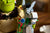 LEGO® DreamWorks™ Shrek, Donkey & Puss in Boots #72423  1403 Pieces