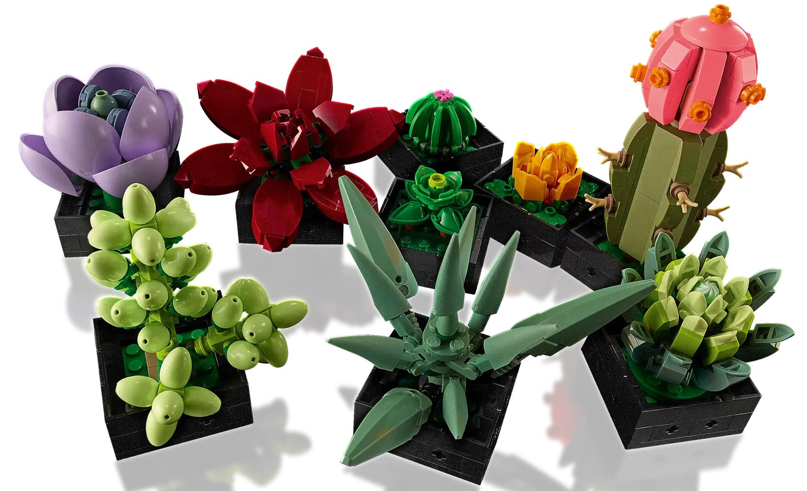 botanical succulents LEGO 10309