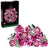 LEGO® Botanicals: Bouquet of Pink Roses #10374 789 Pieces