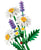LEGO® Botanicals:  Daisies #11508 133 Pieces
