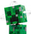 LEGO® Minecraft® The Creeper™ #21276 665  Pieces