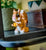 LEGO® Creator 3-In-1 Cute Animals: Playful Puppy Dog #31382 336 Pieces