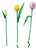 LEGO® Botanicals:  Tulip Bouquet #11501 576 Pieces