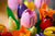 LEGO® Botanicals:  Tulip Bouquet #11501 576 Pieces