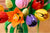 LEGO® Botanicals:  Tulip Bouquet #11501 576 Pieces