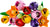 LEGO® Botanicals:  Tulip Bouquet #11501 576 Pieces