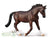 Oldenburg Stallion, Bay (International Release) - ADVANCE SALE