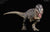 Tyrannosaurus Rex ~ KISS (Island Variant) - REBOR Museum Class Replicas