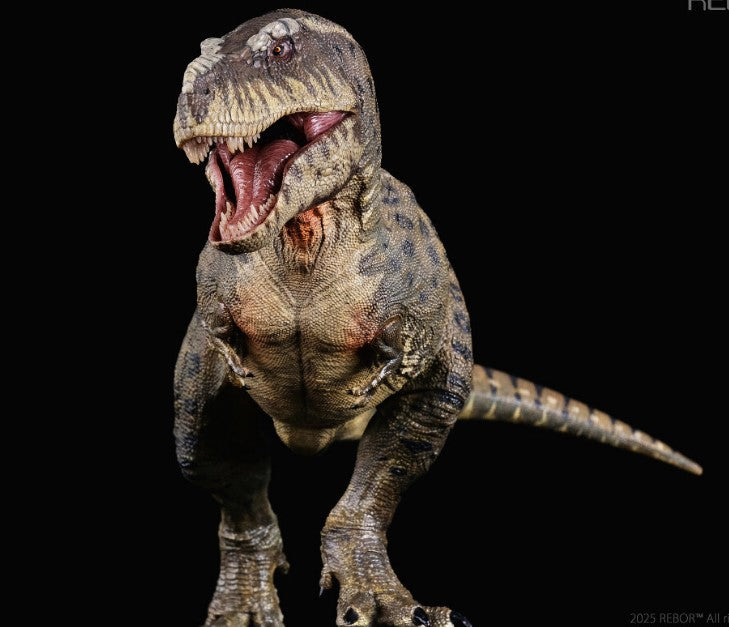 Tyrannosaurus Rex ~ KISS (Island Variant) - REBOR Museum Class Replicas