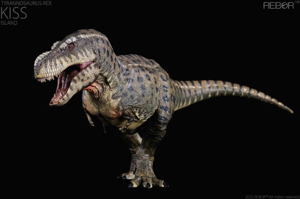 Tyrannosaurus Rex ~ KISS (Island Variant) - REBOR Museum Class Replicas