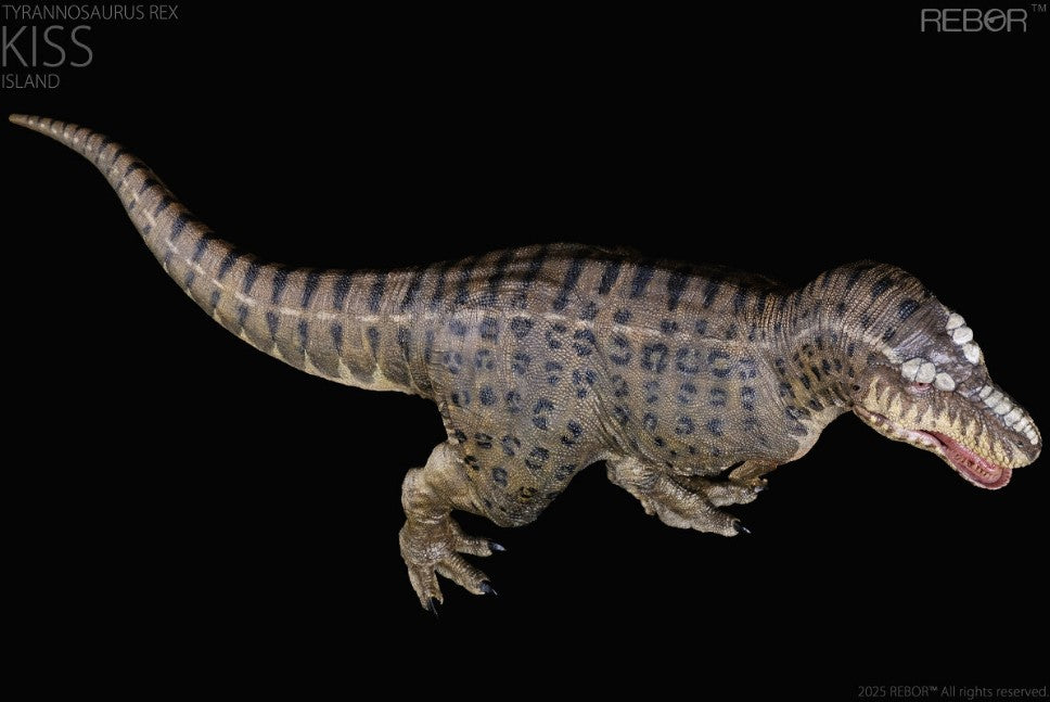 Tyrannosaurus Rex ~ KISS (Island Variant) - REBOR Museum Class Replicas