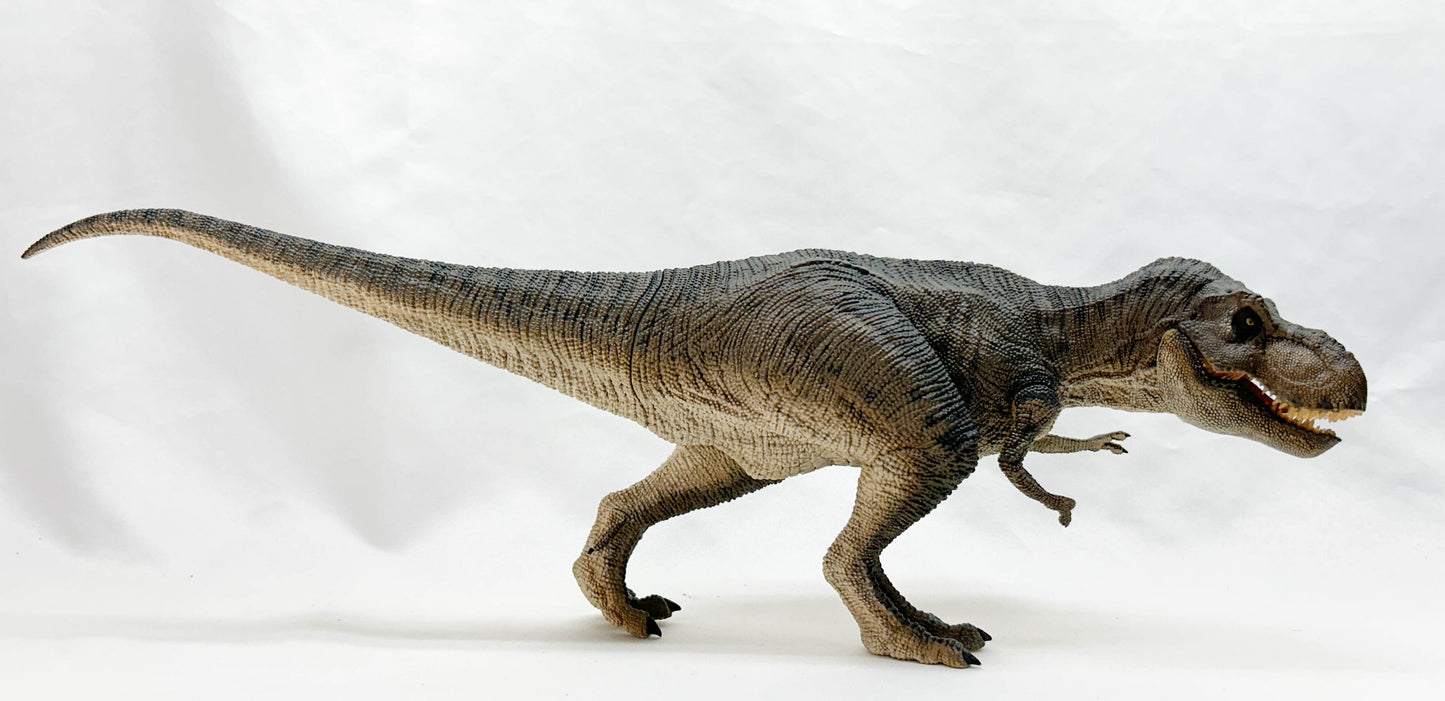 Tyrannosaurus Rex ~ Killer Queen (Plains Variant) - REBOR Museum Class Replicas