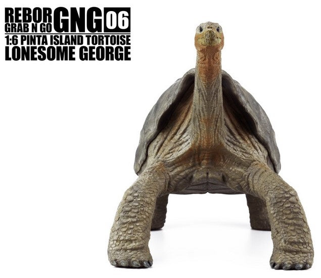 Pinta Island Tortoise ~ Lonesome George