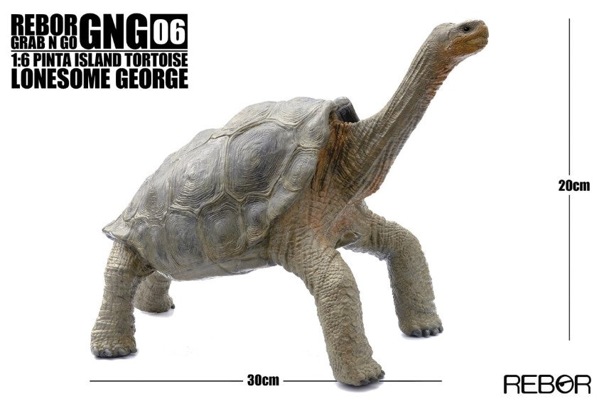Pinta Island Tortoise ~ Lonesome George