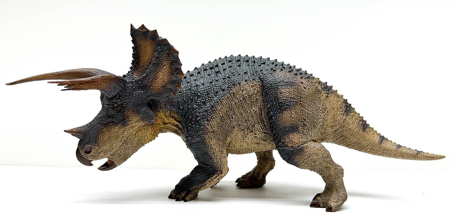 Triceratops, Male ~ "Trident Horn of Doom"