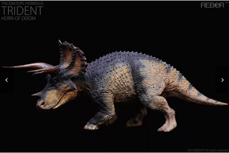 Triceratops, Male ~ "Trident Horn of Doom"