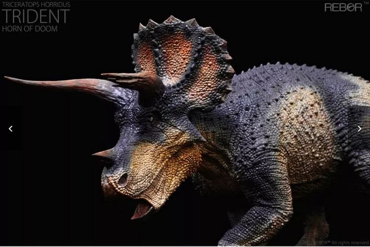 Triceratops, Male ~ "Trident Horn of Doom"