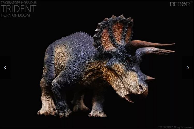 Triceratops, Male ~ "Trident Horn of Doom"