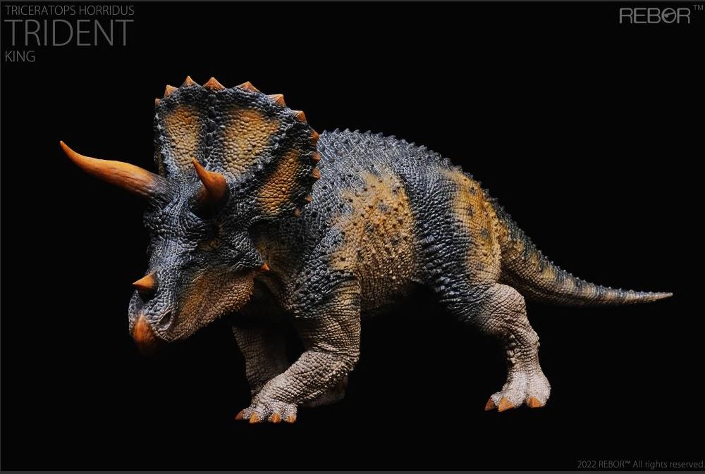 Triceratops, Male ~ "Trident King"