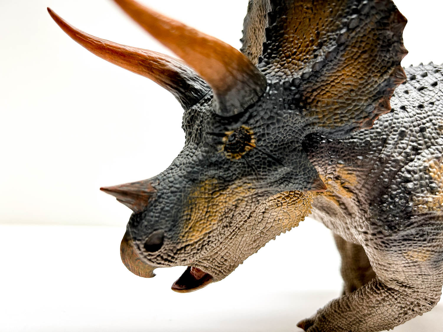 REBOR Triceratops, Male ~ "Trident King" – Triple Mountain Model Horses